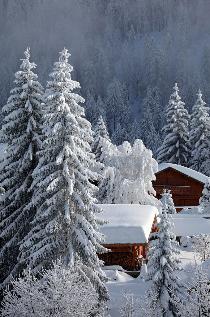 Chalets et sapins enneigés @Skipalex Chalets et sapins enneigés @Skipalex