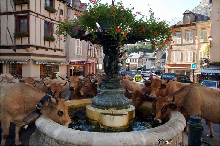 La Residence Goelia Le Chateau Ricard A Saint Geniez D Olt En Aveyron Le Charme D Un Hotel Particulier