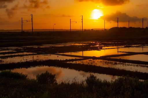 Salt marshes in Batz-sur-Mer Salt marshes in Batz-sur-Mer