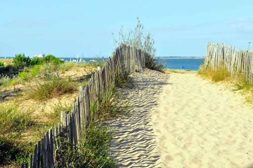 Bord de mer - Plage d'Oléron Bord de mer - Plage d'Oléron