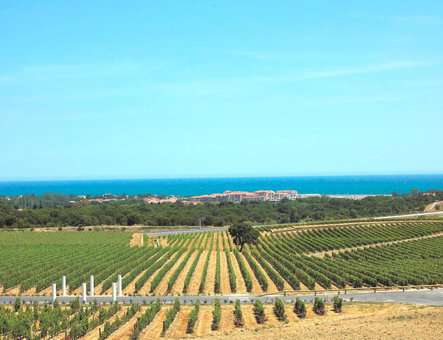 Paysage de la région d'Argelès-sur-Mer, en Occitanie Paysage de la région d'Argelès-sur-Mer, en Occitanie