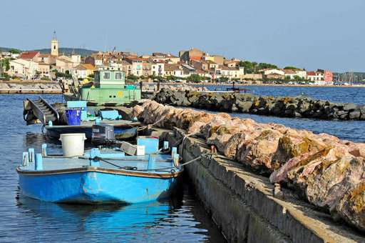 Landscape of Balaruc-les-Bains, in Occitania Landscape of Balaruc-les-Bains, in Occitania