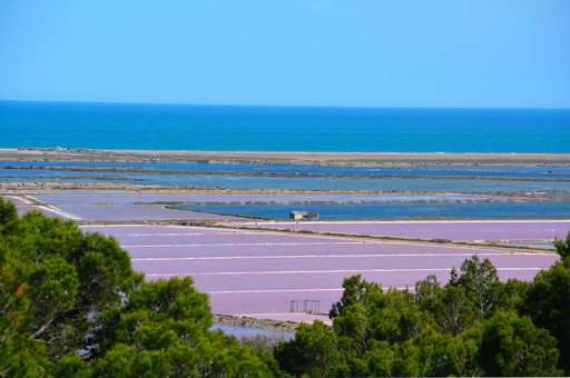 Salt Marsh of Gruissan, Occitania ©OT Gruissan Salt Marsh of Gruissan, Occitania ©OT Gruissan