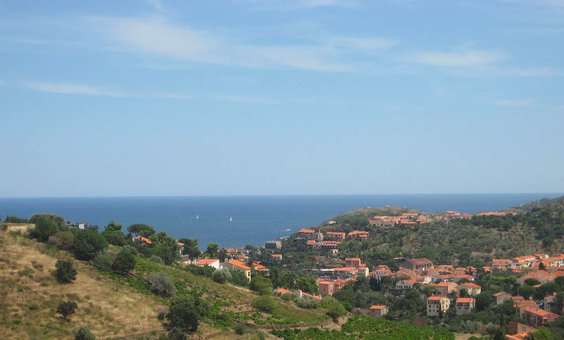 Village of Collioure, near Port-Barcarès, in Occitania