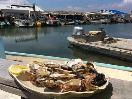 Oyster tasting in Port Leucate, Occitanie Oyster tasting in Port Leucate, Occitanie