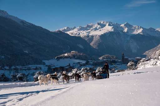 Chiens de traîneau à Aussois, dans les Alpes du Nord © A. Pernet