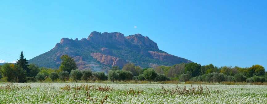 Paysage de Roquebrune-sur-Argens avec le rocher de Roquebrune © OT - Stephane Geus Paysage de Roquebrune-sur-Argens avec le rocher de Roquebrune © OT - Stephane Geus