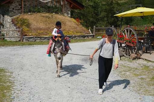 Horse riding in the Peisey Vallandry region, in the Northern Alps