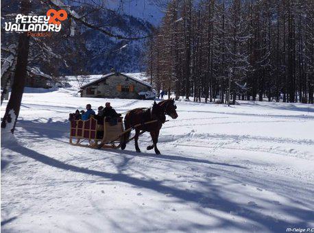 Dogs sledding in Peisey Vallandry, in the Northern Alps © OT Peisey Vallandry Dogs sledding in Peisey Vallandry, in the Northern Alps © OT Peisey Vallandry
