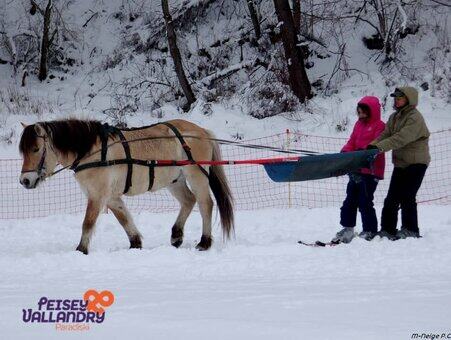 Ski joëring in Peisey Vallandry, in the Northern Alps © OT Peisey Vallandry Ski joëring in Peisey Vallandry, in the Northern Alps © OT Peisey Vallandry