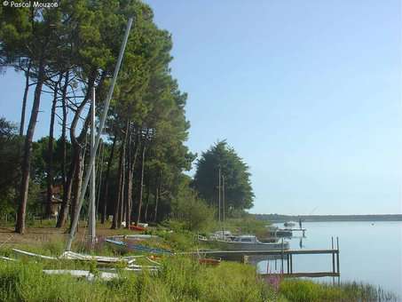 Lacanau's Lake Lacanau's Lake