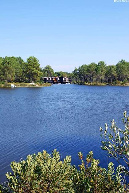 Lacanau's Lake Lacanau's Lake