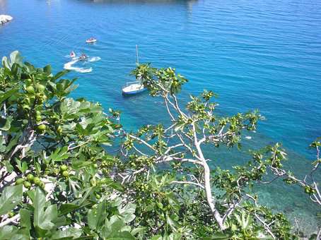 Landscapes in Corsica Landscapes in Corsica