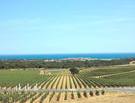 Vos vacances à Argelès sur Mer et Port Argelès Vos vacances à Argelès sur Mer et Port Argelès