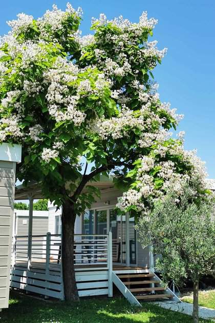 Extérieur d'un mobile home deluxe de la résidence de vacances The Garda Village à Colombare di Sirmione, proche du Lac de Garde, en Italie