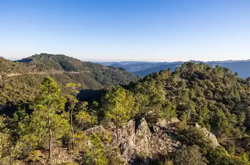 Cévennes park near the Goelia residence 