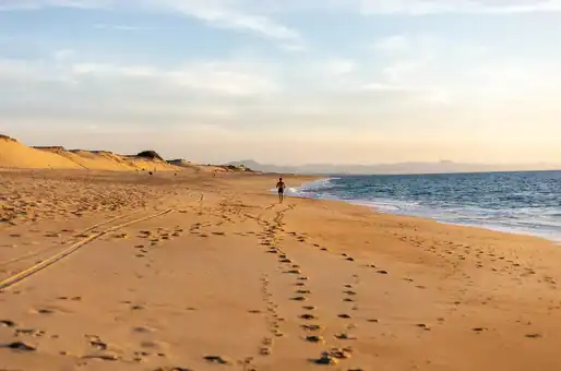 Landes beach near Moliets