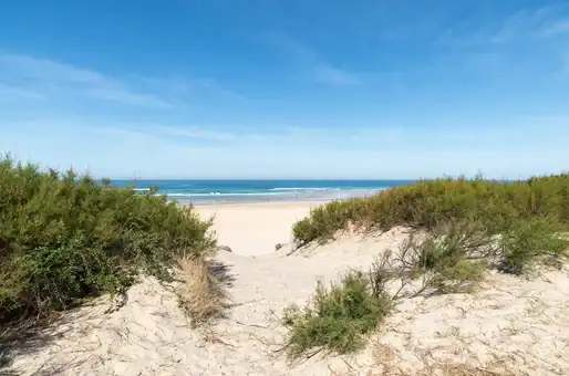 Landes beach near Moliets