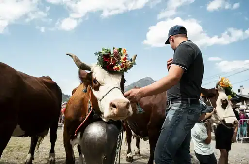 Evénement à voir autour de Châtel 