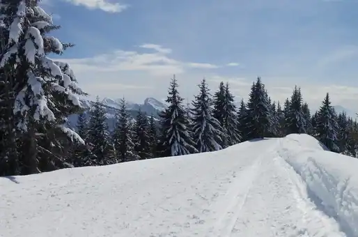 Example of a landscape near Morillon
