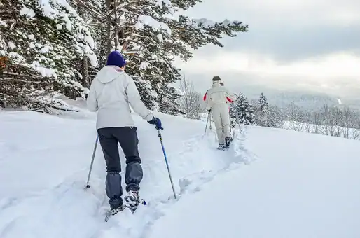 Snowshoeing in the Pyrenees