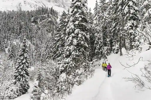 Exemple d'activité : Raquettes ©Stef-Cande-Office-de-Tourisme-de-Pralognan-la-Vanoise