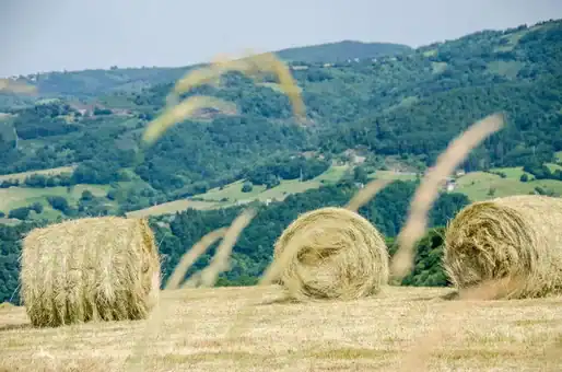 Exemple de randonnée du PR 10 à proximité d'Entraygues sur Truyere © M. Hennessy - Aveyron 