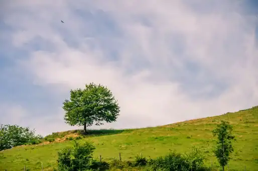 Randonnee PR10 Entraygues-sur-Truyere-© M. Hennessy - Aveyron 