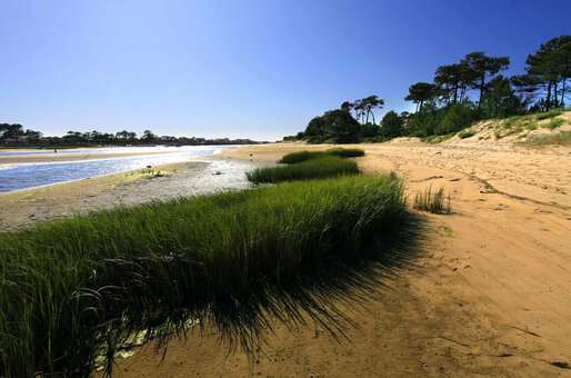 Exemple de plage à proximité de Mimizan