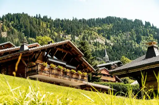 Example of a landscape near the Goélia Châtel holiday residence © L. Meyer-Chatel-5