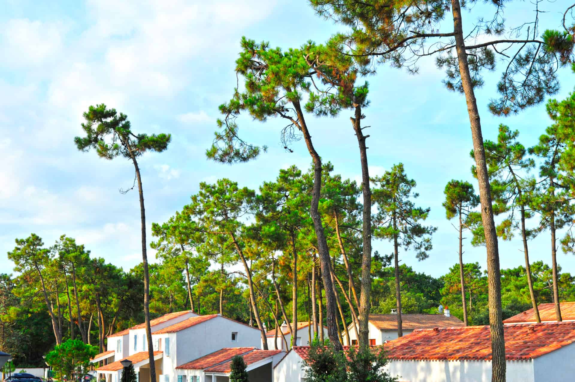 Exterior of the holiday residence Goélia Le Domaine des Oyats in the pine forest in Longeville-sur-Mer Exterior of the holiday residence Goélia Le Domaine des Oyats in the pine forest in Longeville-sur-Mer