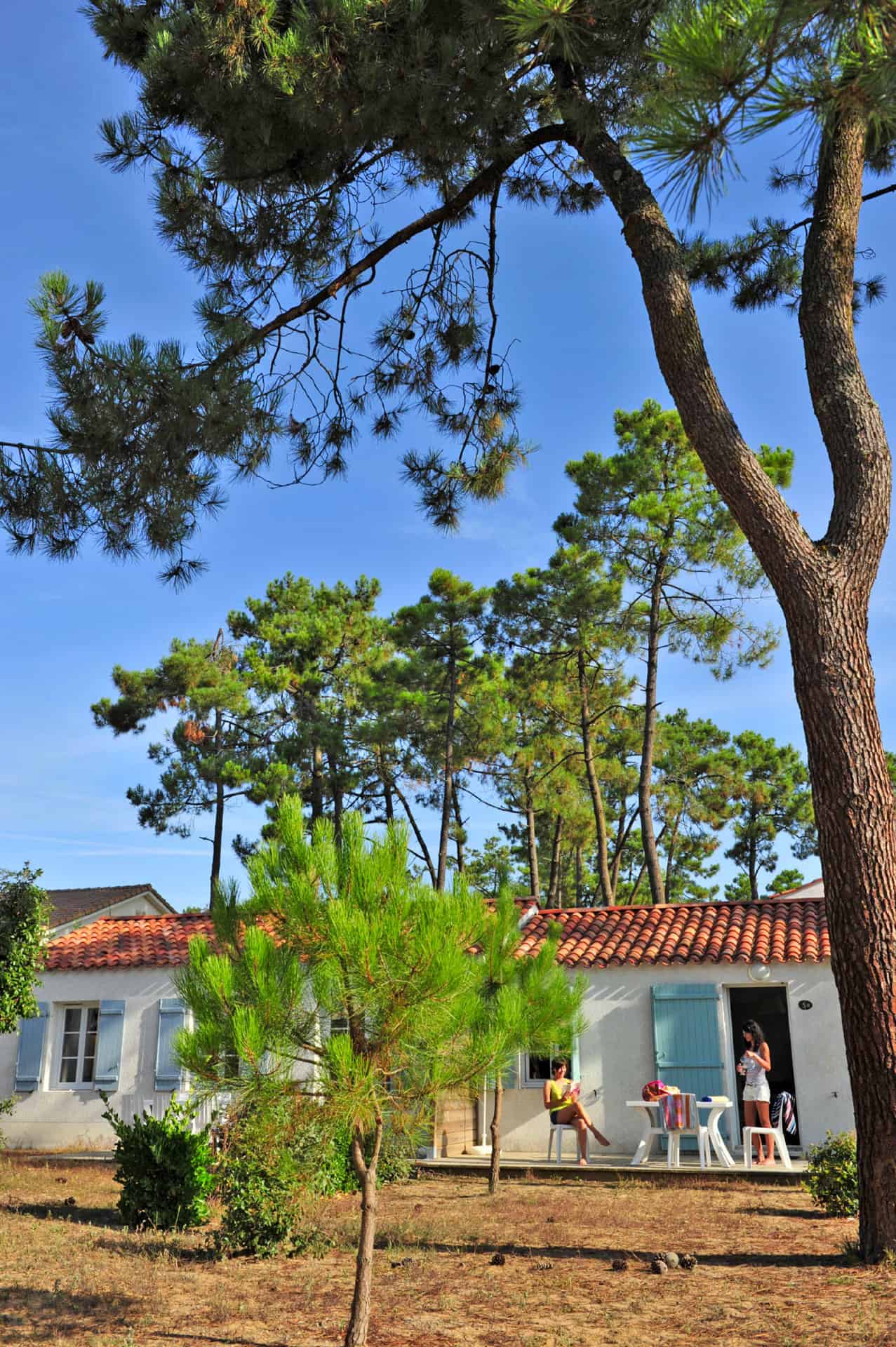 Exterior of the holiday residence Goélia Le Domaine des Oyats in the pine forest in Longeville-sur-Mer Exterior of the holiday residence Goélia Le Domaine des Oyats in the pine forest in Longeville-sur-Mer