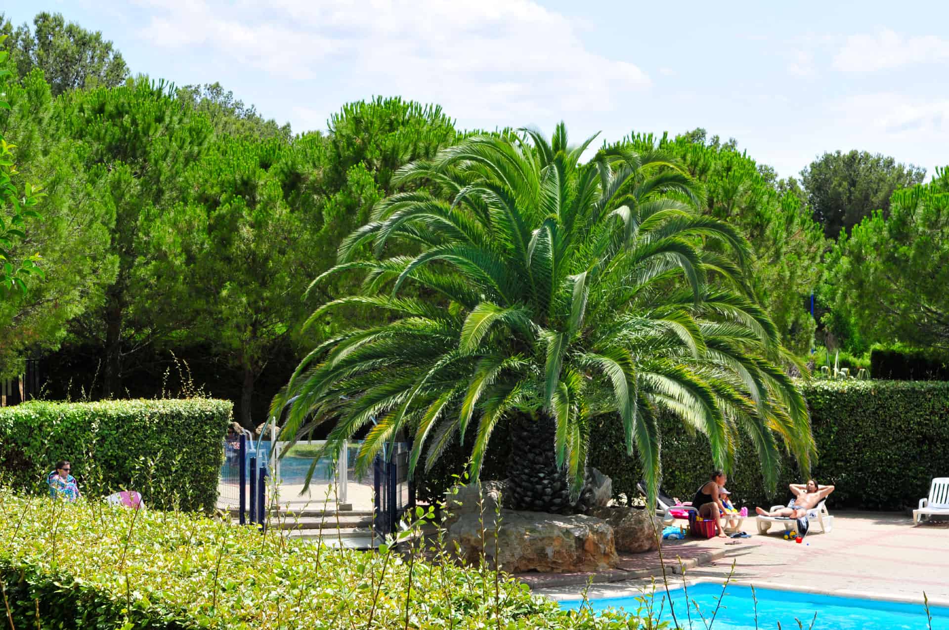 The Arcadius holiday residence in Balaruc-les-Bains The Arcadius holiday residence in Balaruc-les-Bains
