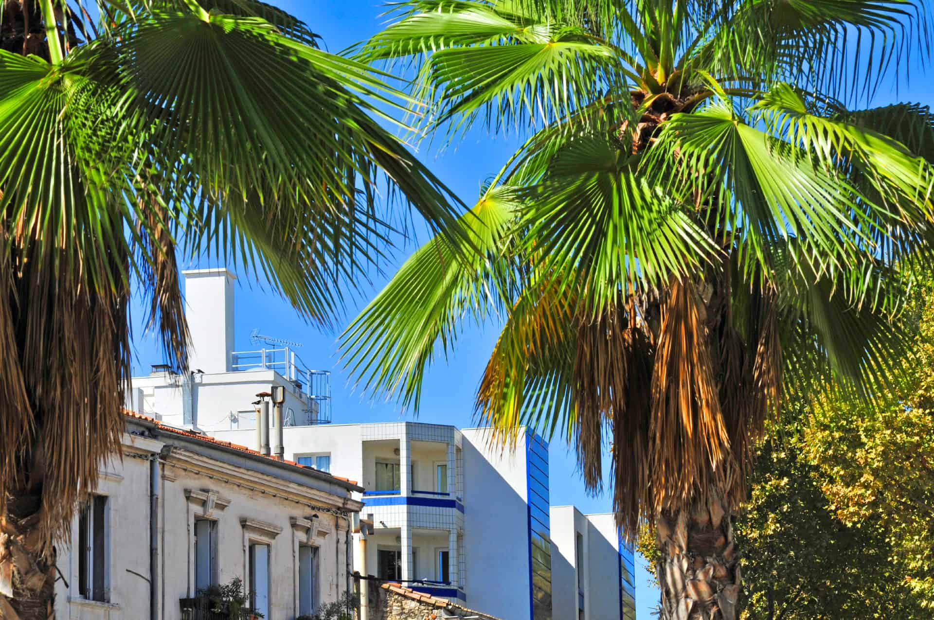 La résidence de vacances Sun City à Montpellier, en Occitanie La résidence de vacances Sun City à Montpellier, en Occitanie