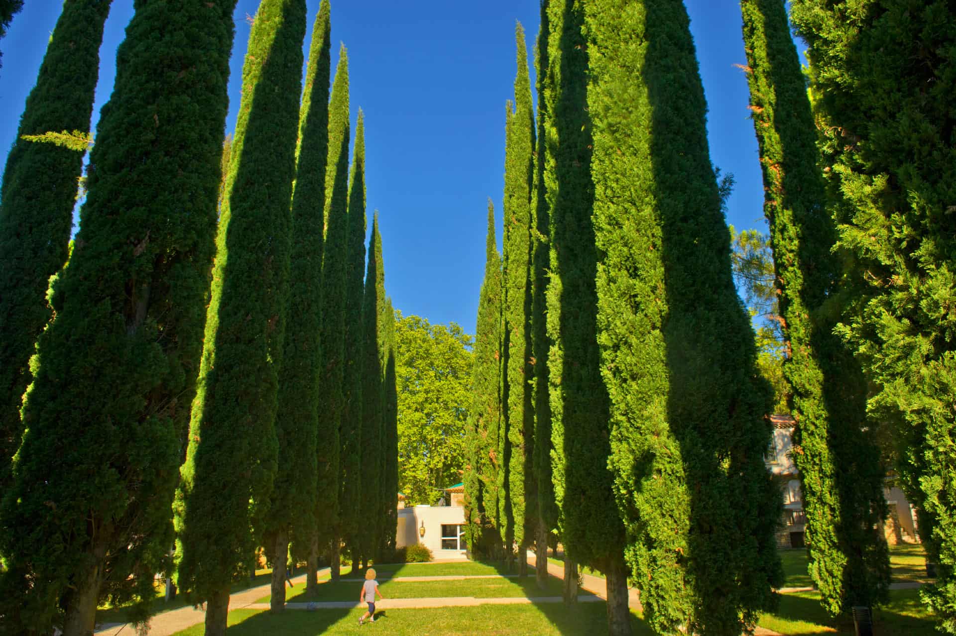 Exterior of the holiday residence Goélia Le Domaine du Moulin Blanc in Gordes Exterior of the holiday residence Goélia Le Domaine du Moulin Blanc in Gordes