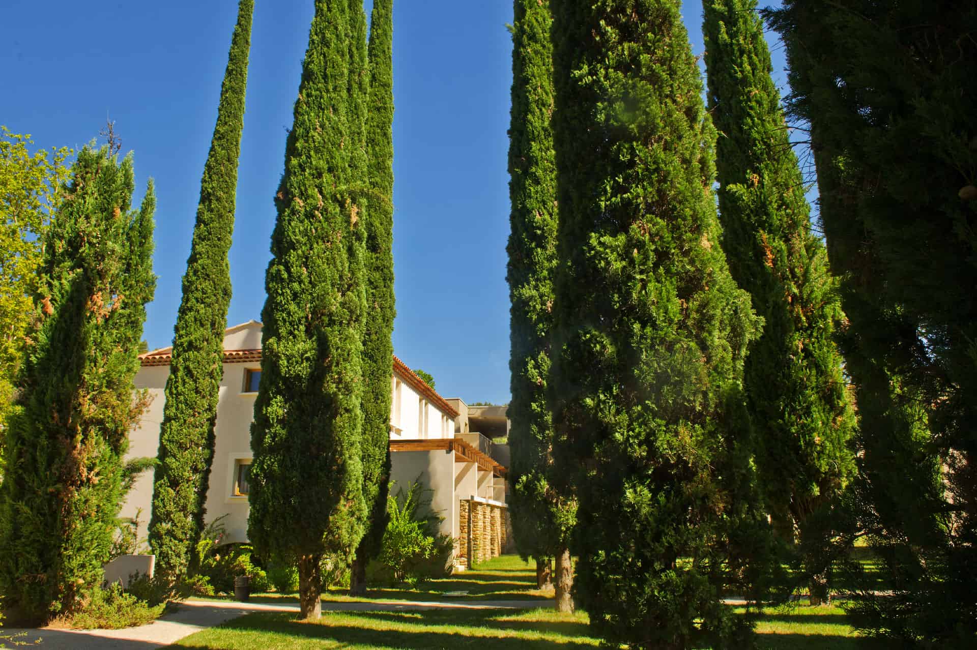 Exterior of the holiday residence Goélia Le Domaine du Moulin Blanc in Gordes Exterior of the holiday residence Goélia Le Domaine du Moulin Blanc in Gordes