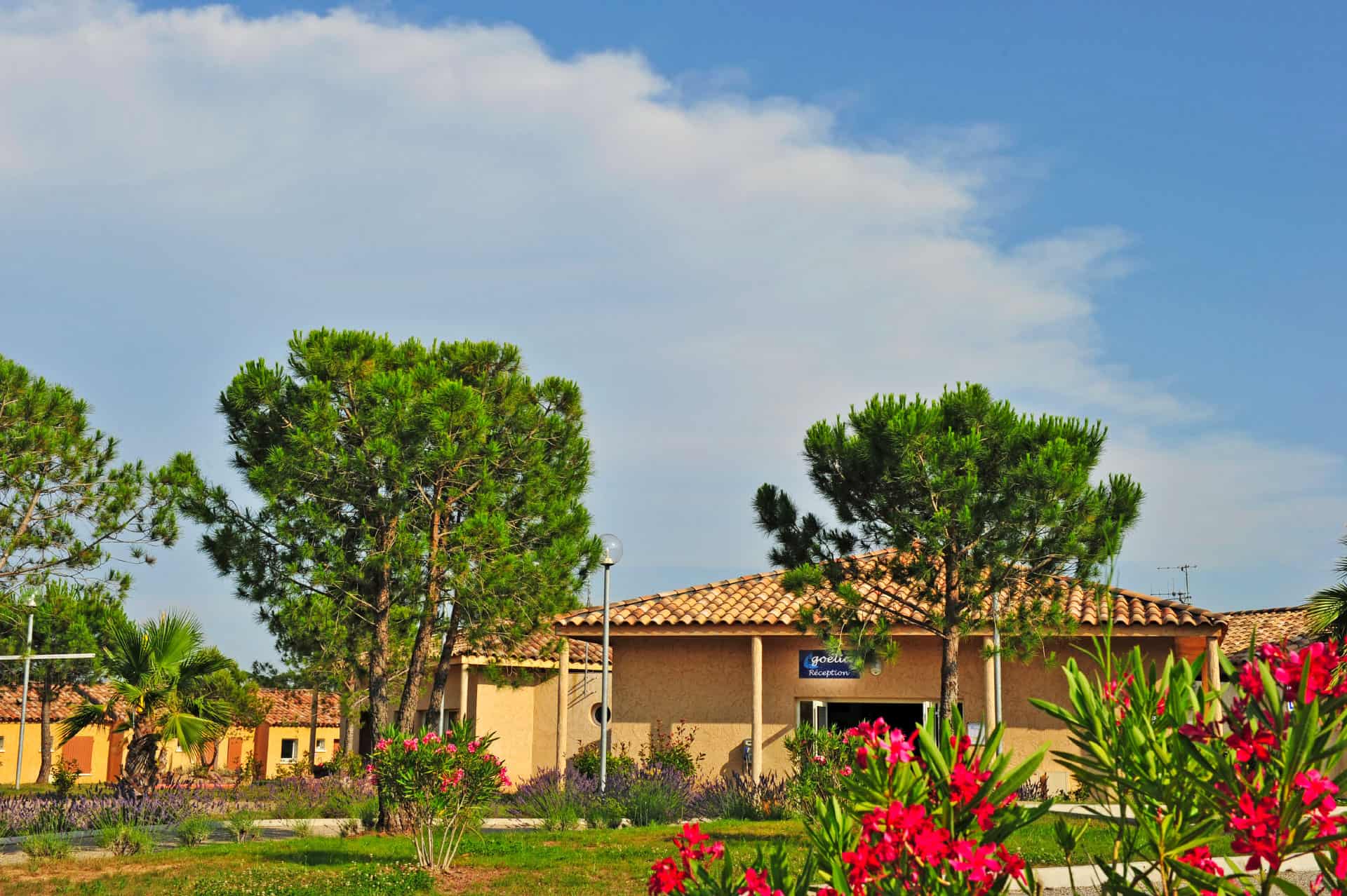 Réception de la résidence de vacances Goélia Le Village Azur à Roquebrune-sur-Argens Réception de la résidence de vacances Goélia Le Village Azur à Roquebrune-sur-Argens