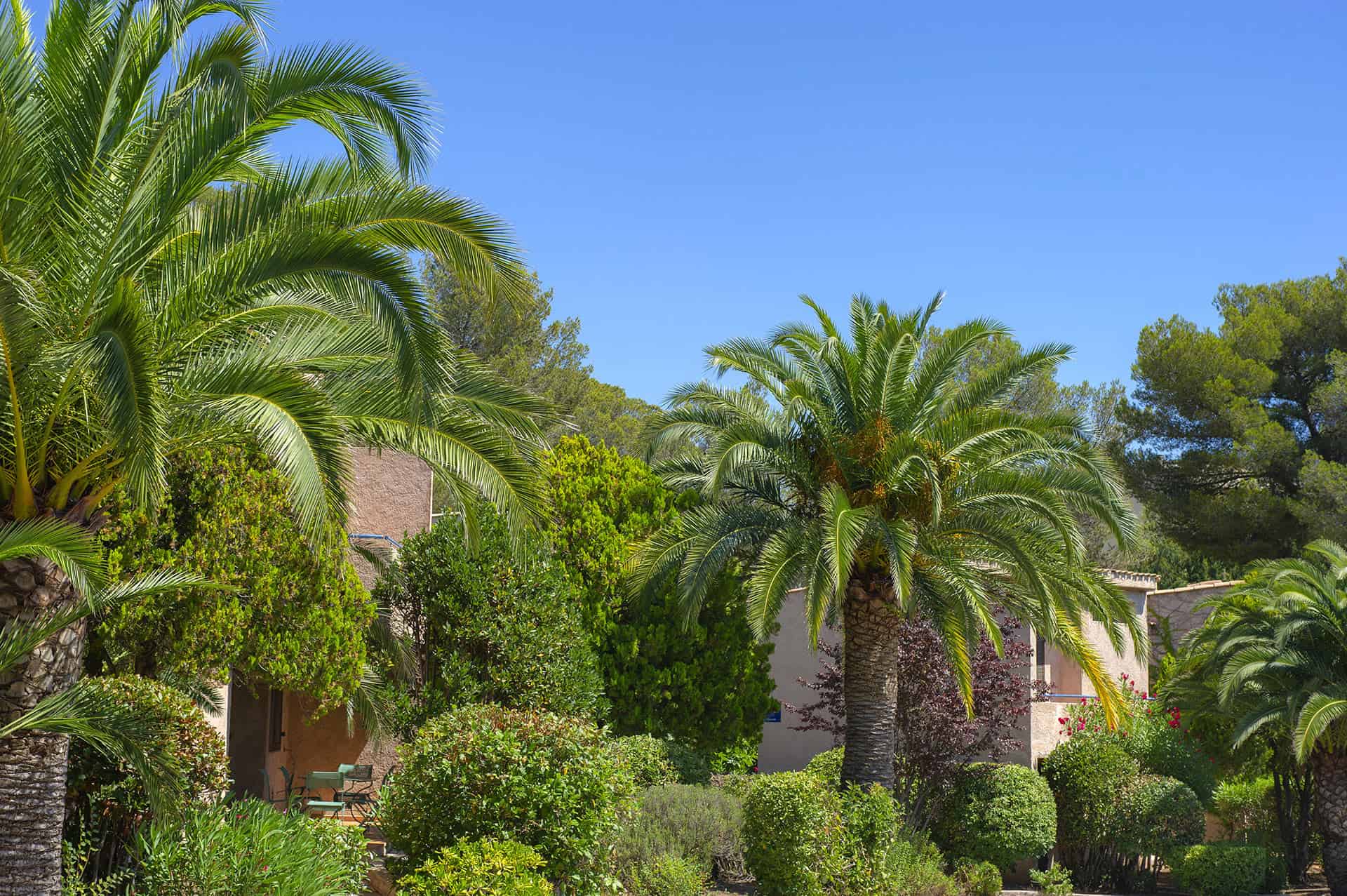 the residence of vacations Les Jardins d'Azur in St Raphaël   the residence of vacations Les Jardins d'Azur in St Raphaël