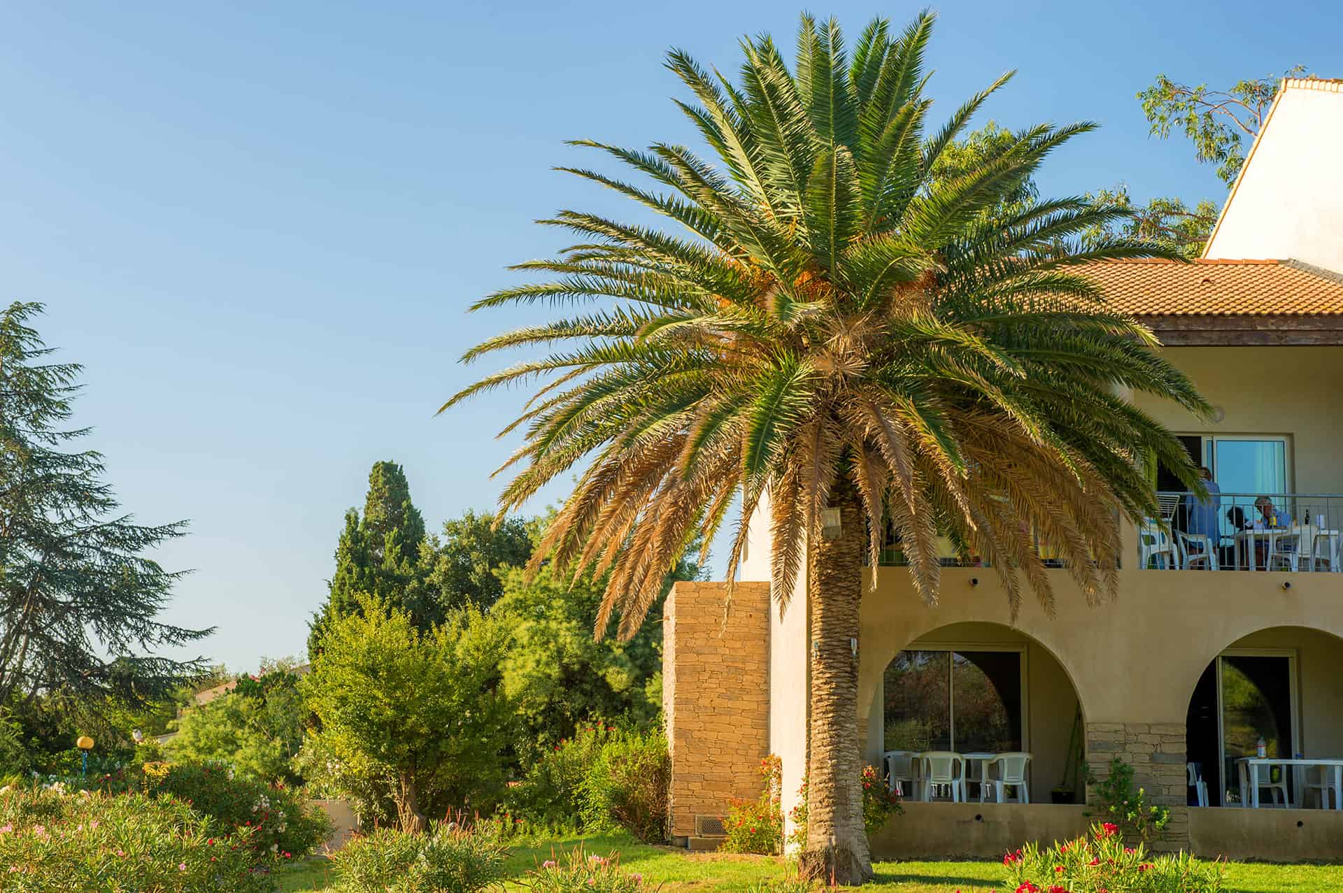 La résidence de vacances Goélia Perla d'Isula en Corse à Bravone La résidence de vacances Goélia Perla d'Isula en Corse à Bravone