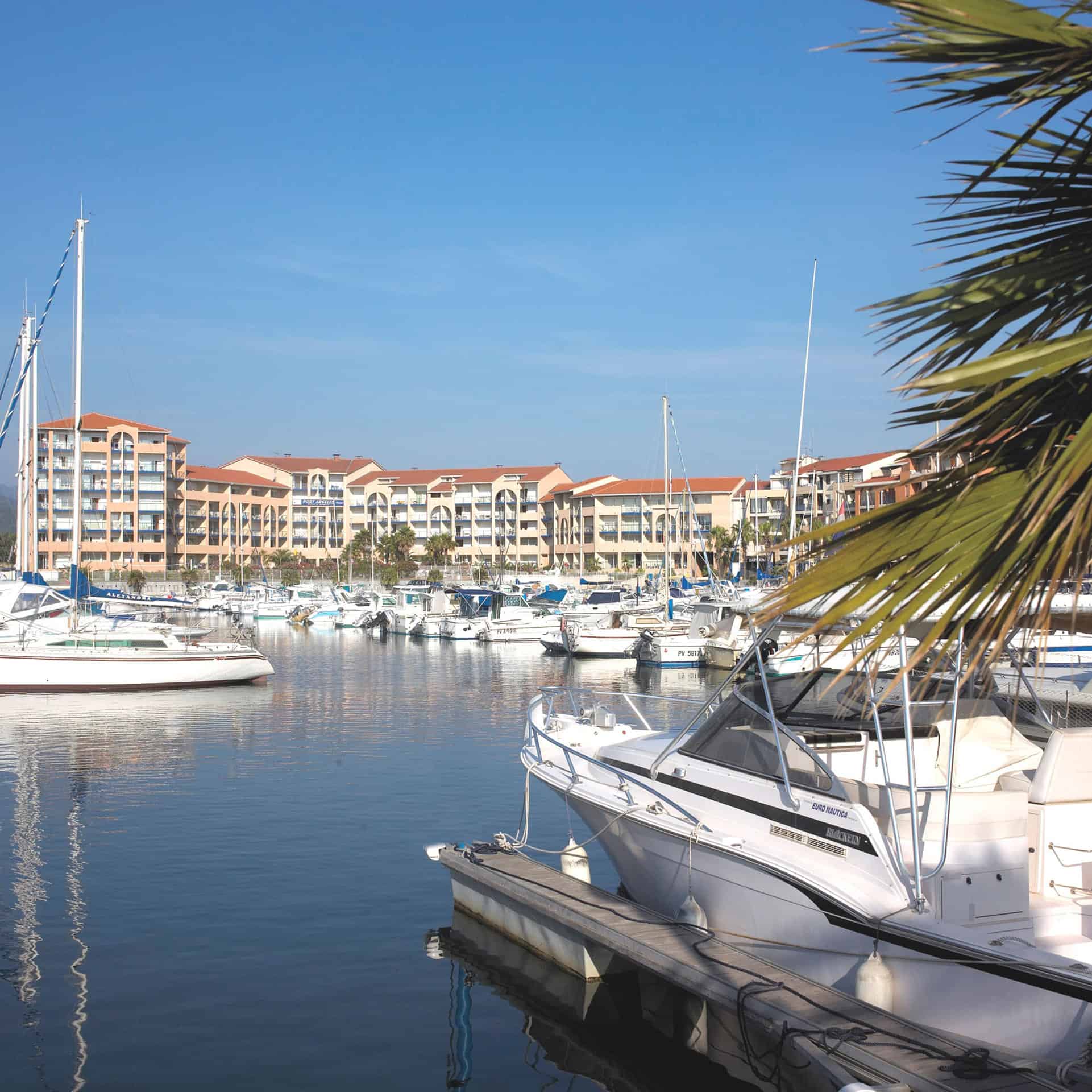 Résidence de Port Argelès avec piscine extérieure à Argelès directement à Port Argelès Résidence de Port Argelès avec piscine extérieure à Argelès directement à Port Argelès