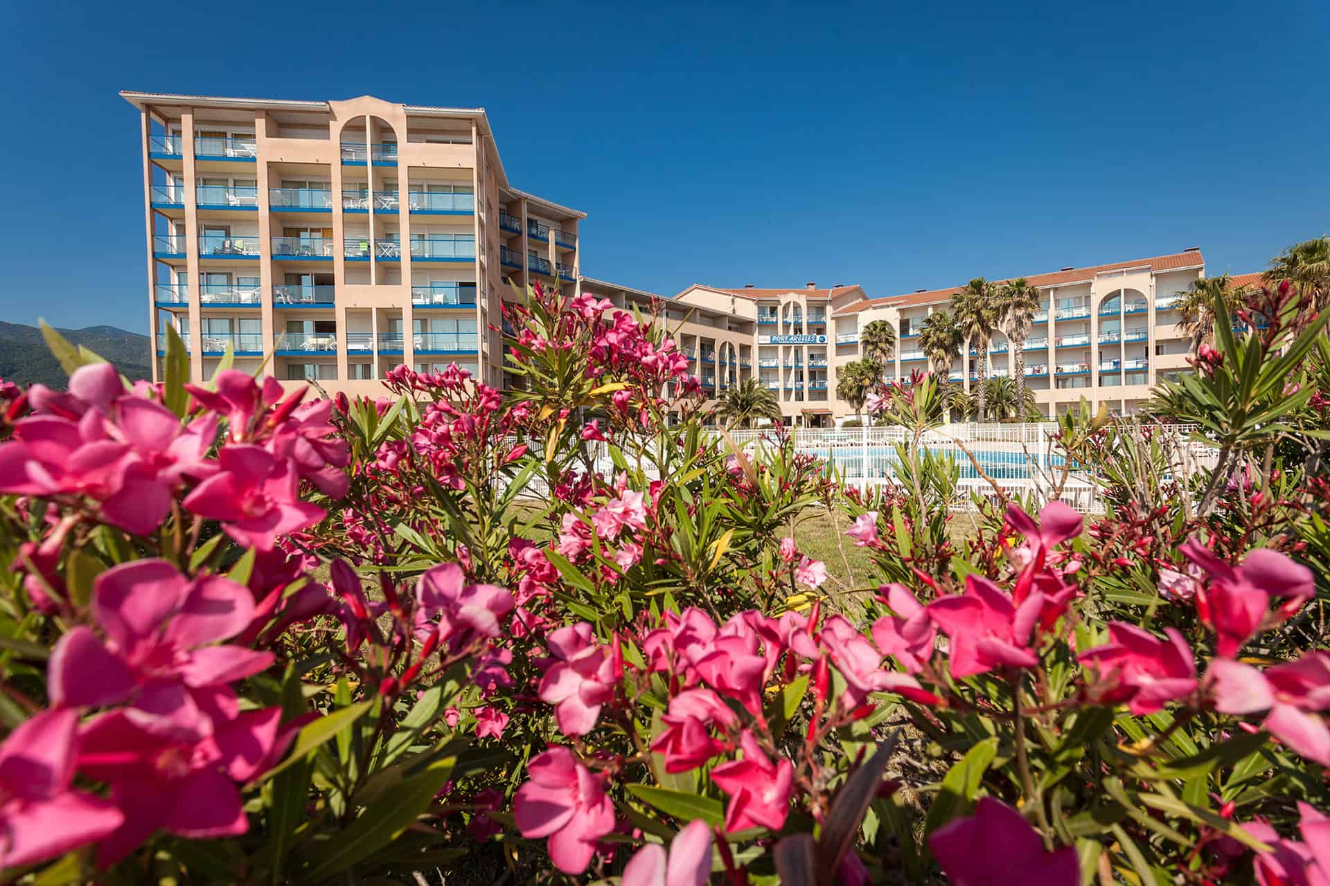 Résidence de Port Argelès avec piscine extérieure à Argelès Résidence de Port Argelès avec piscine extérieure à Argelès