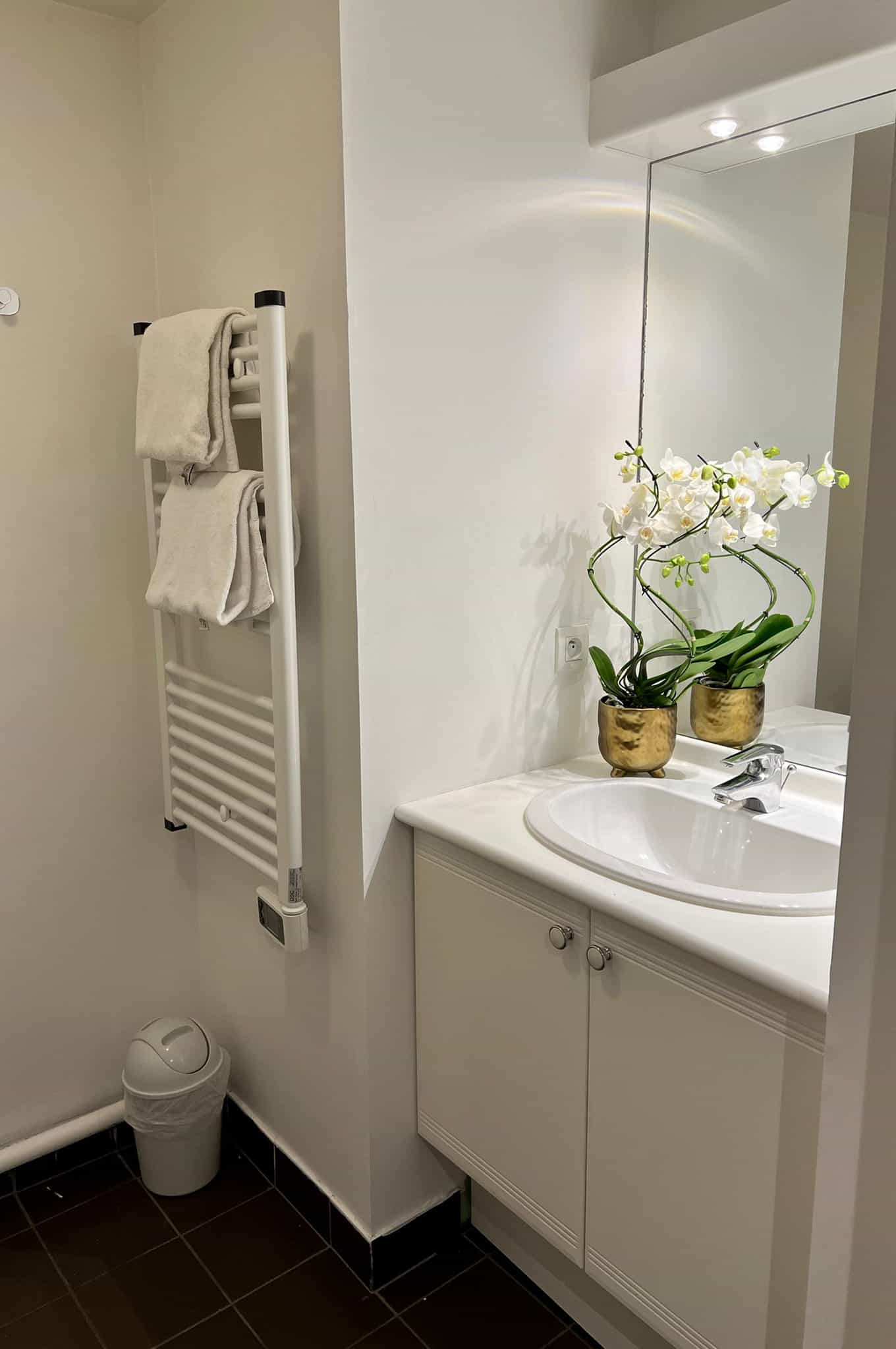 Example of a bathroom at the Appartéa Alpexpo aparthotel in Grenoble in the Isère Example of a bathroom at the Appartéa Alpexpo aparthotel in Grenoble in the Isère