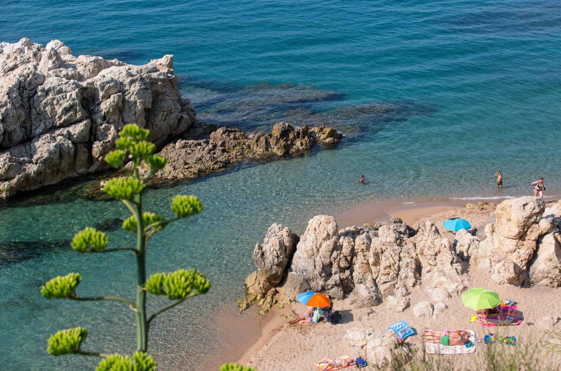 Exemple de paysage à proximité de la résidence de vacances Roca Grossa à Calella, au sud de la Costa Brava, en Espagne Exemple de paysage à proximité de la résidence de vacances Roca Grossa à Calella, au sud de la Costa Brava, en Espagne