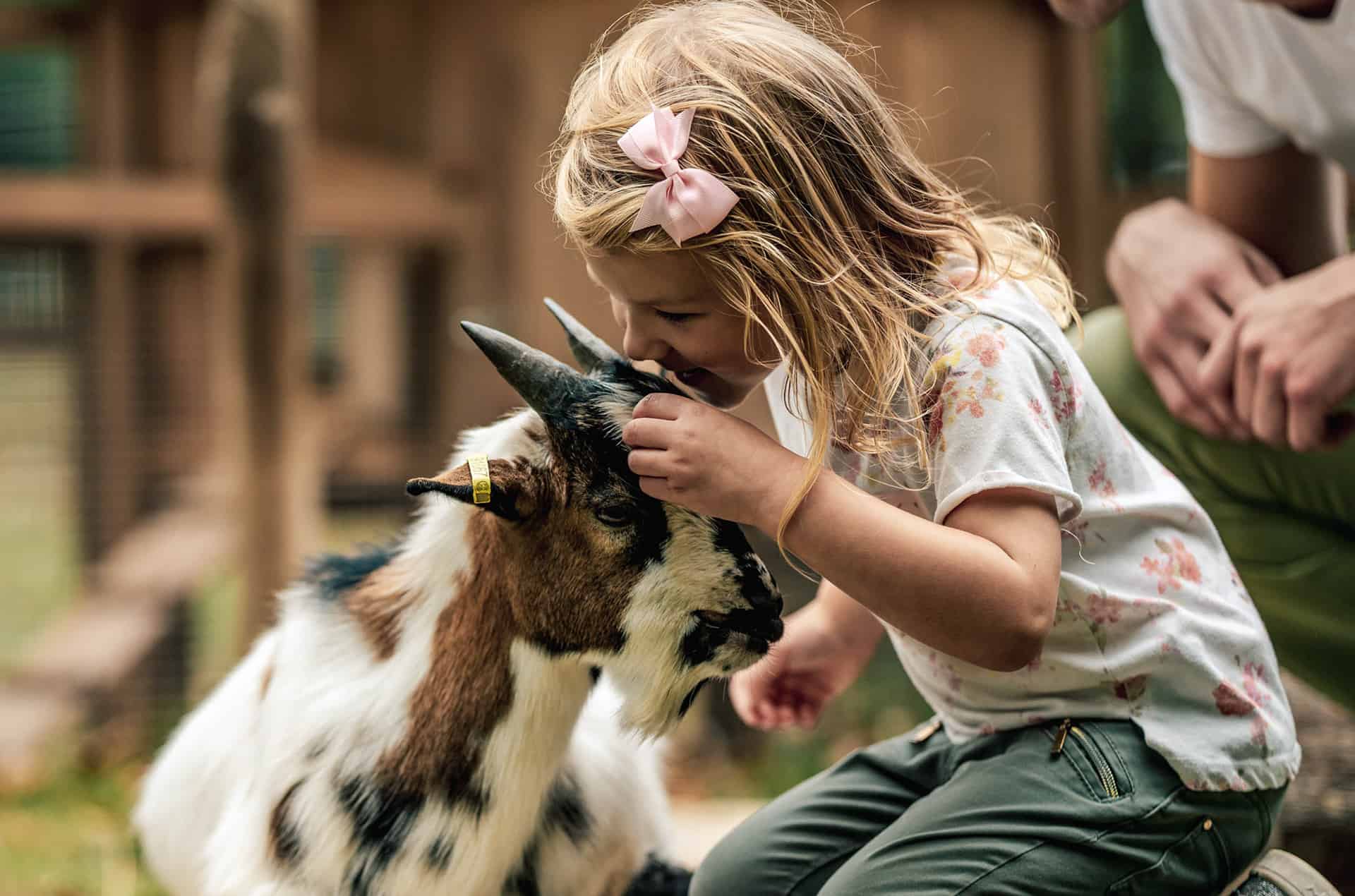 Mini ferme de la résidence de vacances L'orangerie de Lanniron proche de Quimper Mini ferme de la résidence de vacances L'orangerie de Lanniron proche de Quimper