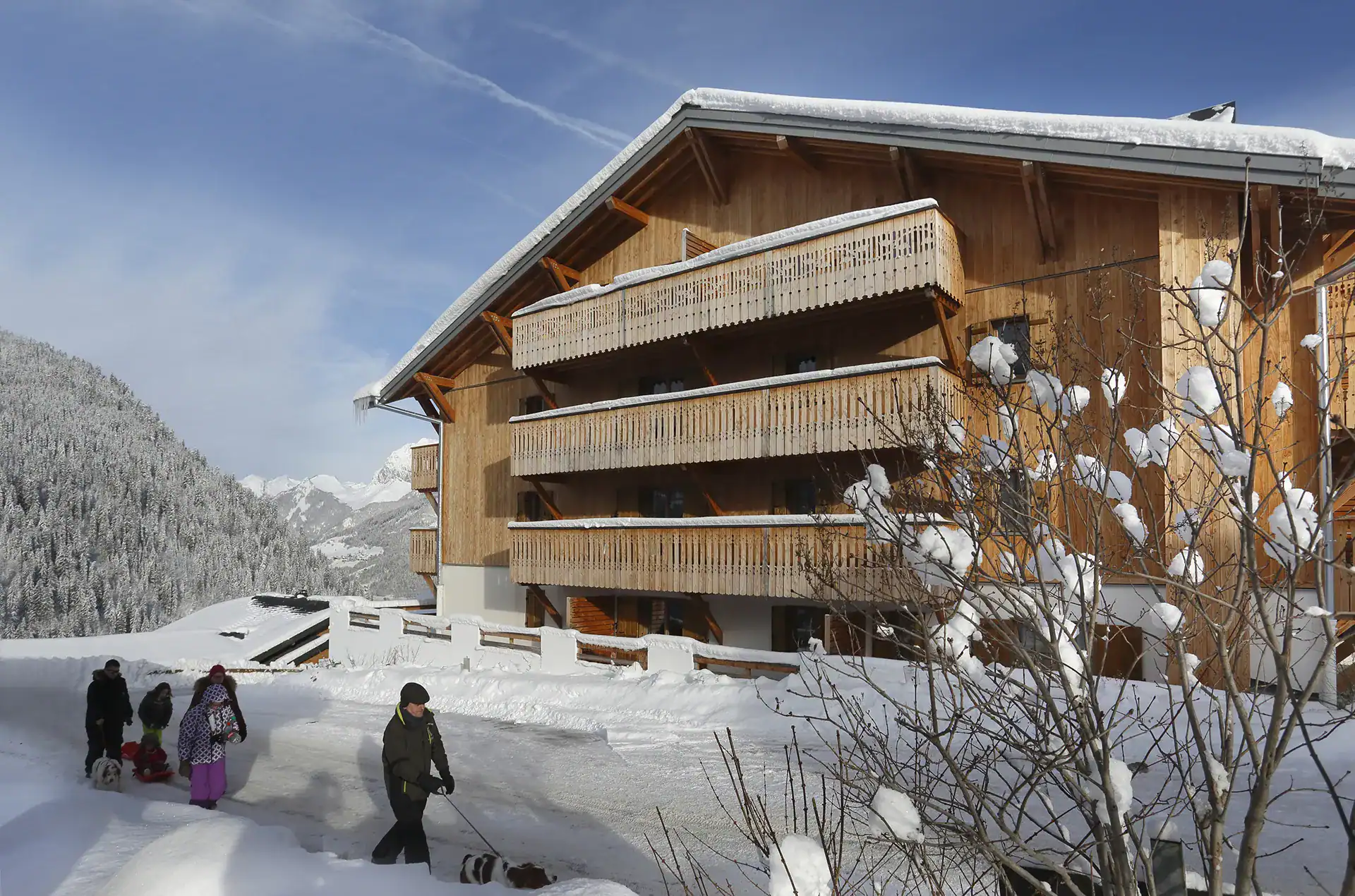  Goélia Le Grand Ermitage holiday residence in Châtel