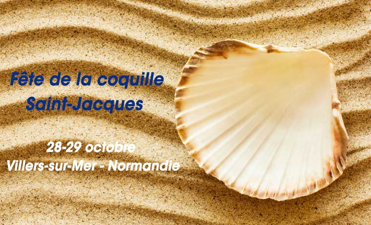 coquille_st_jacques