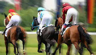 Horse Race