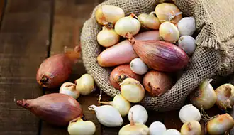 Fête de l'oignon de Roscoff