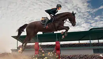 Show jumping competition in La Baule