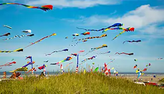 Kite Festival on the beach